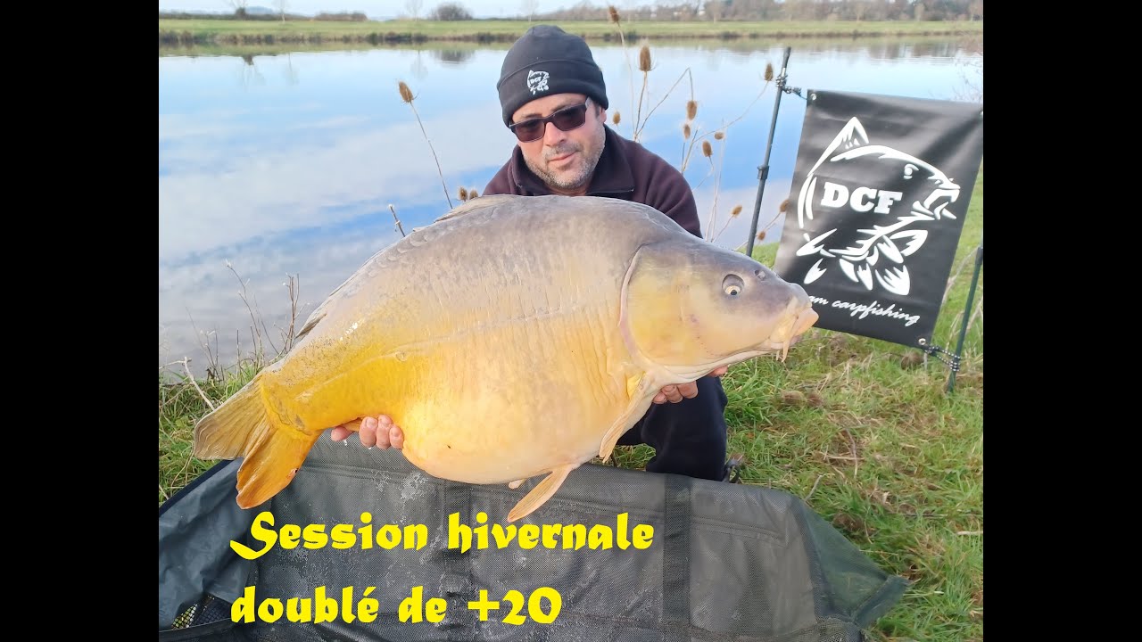 Pèche à la carpe Dream carpfishing session hivernale en rivière doublé de +20