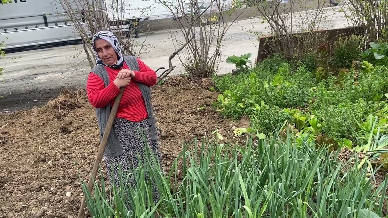GÜZ MEVSİMİNDE BAHÇEYE NELER DİKİLİR⁉️