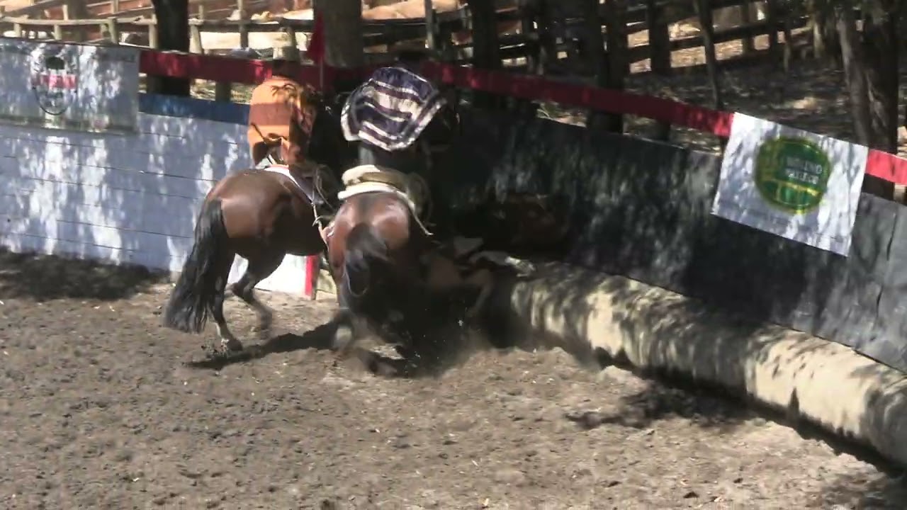 T. 25/26 | Rodeo Lumaco | Primera Serie Libre | 07 y 08 de febrero