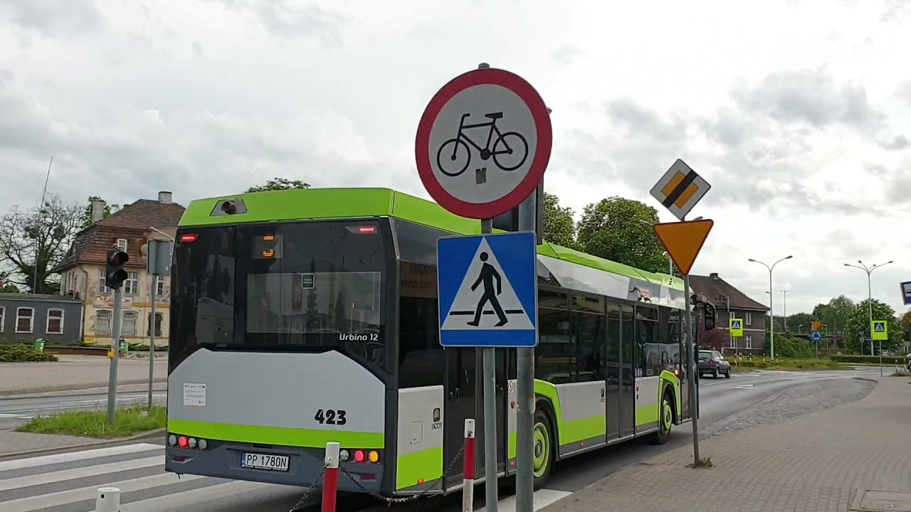 Autobusy MZK i PKS Piła - wiosna | 2021