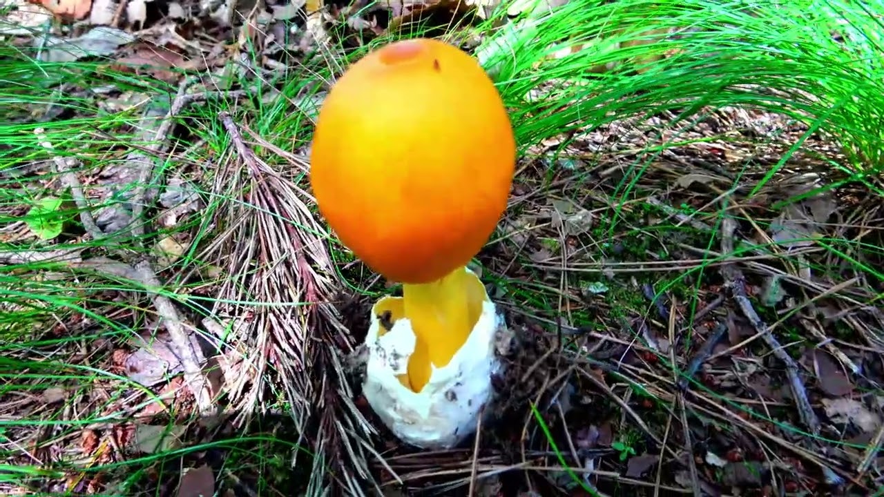전북 완주 원등산 학동산 대부산