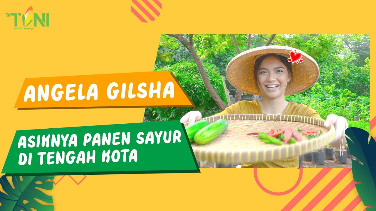 Asiknya Angela Gilsha Panen Sayur Di Tengah Kota Jakarta