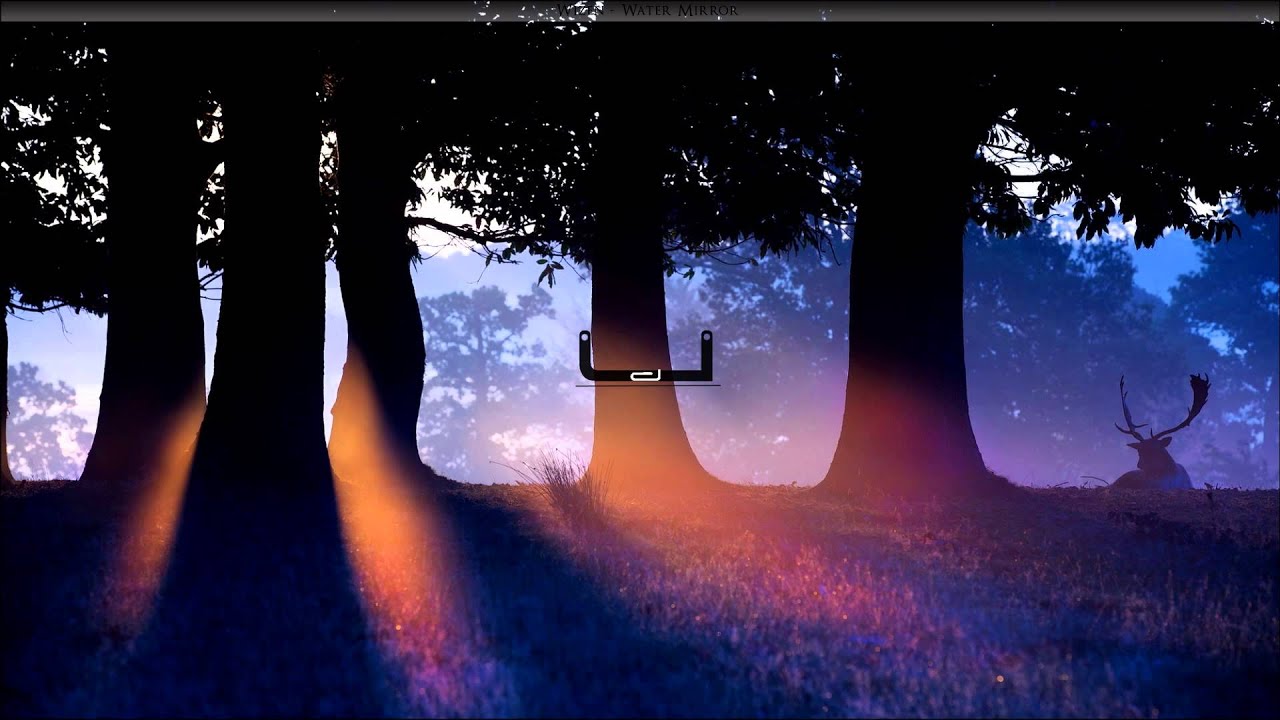 Wizen - Water Mirror