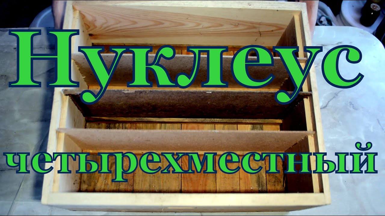 Нуклеус четырехместный на 145-ю рамку