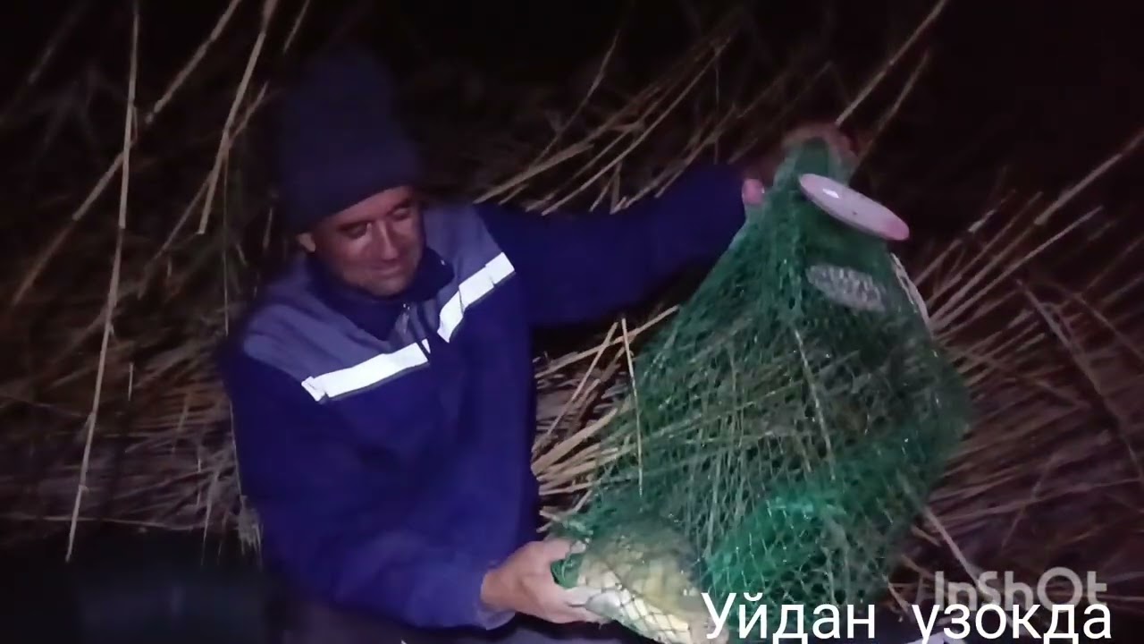 Табият куйнида 