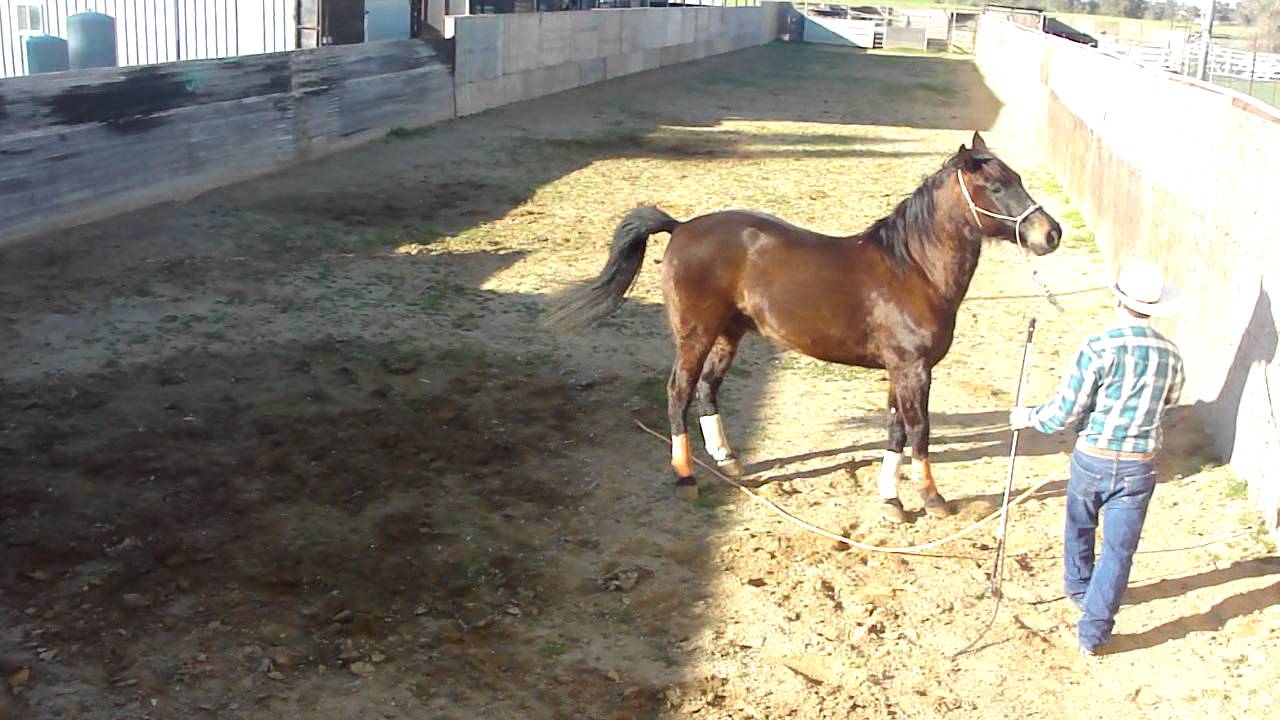 JOSE JIMENEZ CHARRO 2