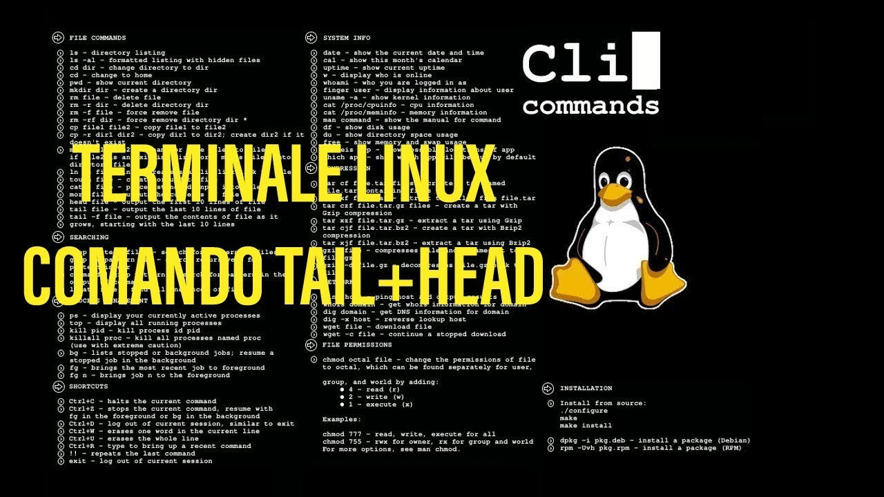 Comandi Linux Tail & Head -Visualizzare parte iniziale e finale di file txt