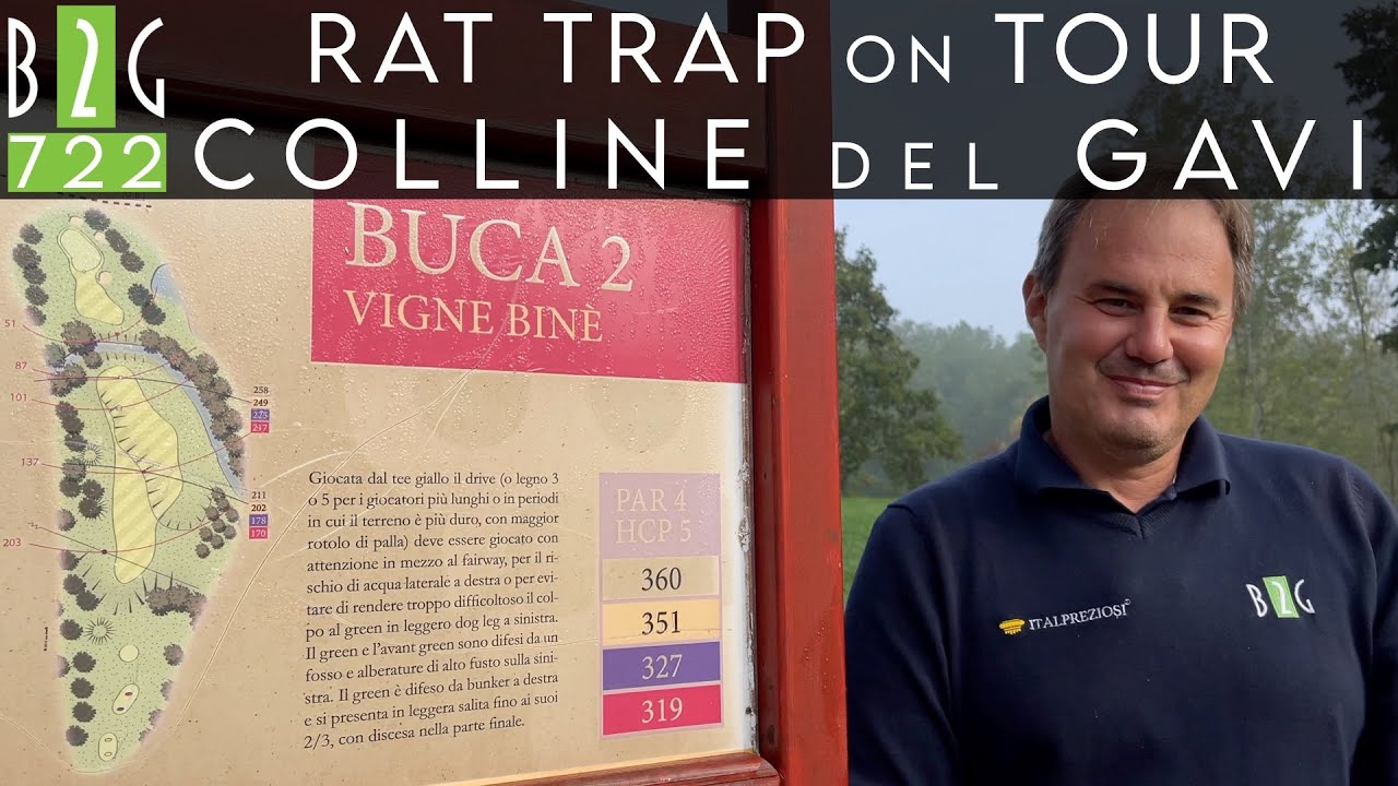 COLLINE DEL GAVI - RAT TRAP ON TOUR 