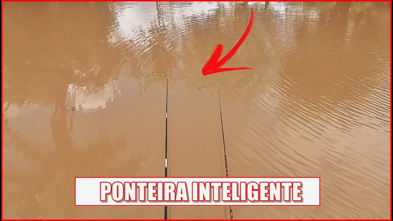 APRENDA A FISGAR TILÁPIA COM A PONTEIRA INTELIGENTE