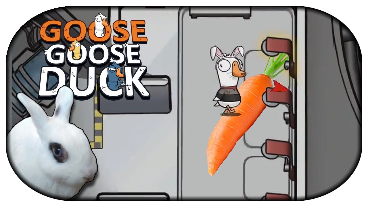 GOOSE GOOSE DUCK 🐇 44 - In der Dusche lag eine Möhre