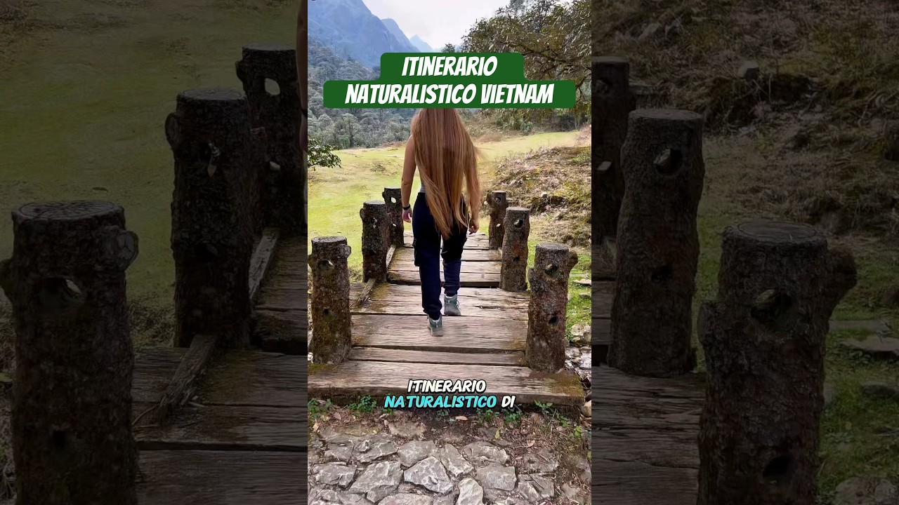 Itinerario NATURALISTICO di 2 settimane in VIETNAM🌲