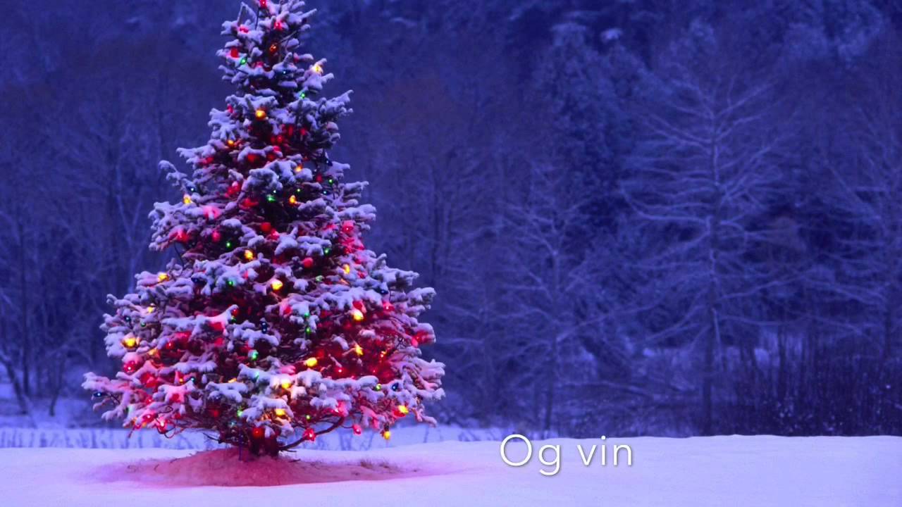P&ouml;ls og k&ouml;rv - ei julel&aring;t