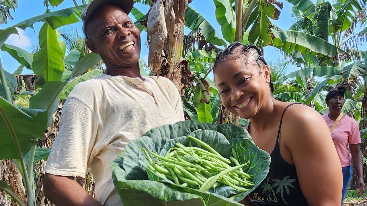a taste of jamaica's country vibes | off-grid outdoor cooking | jamaica travel & food vlog