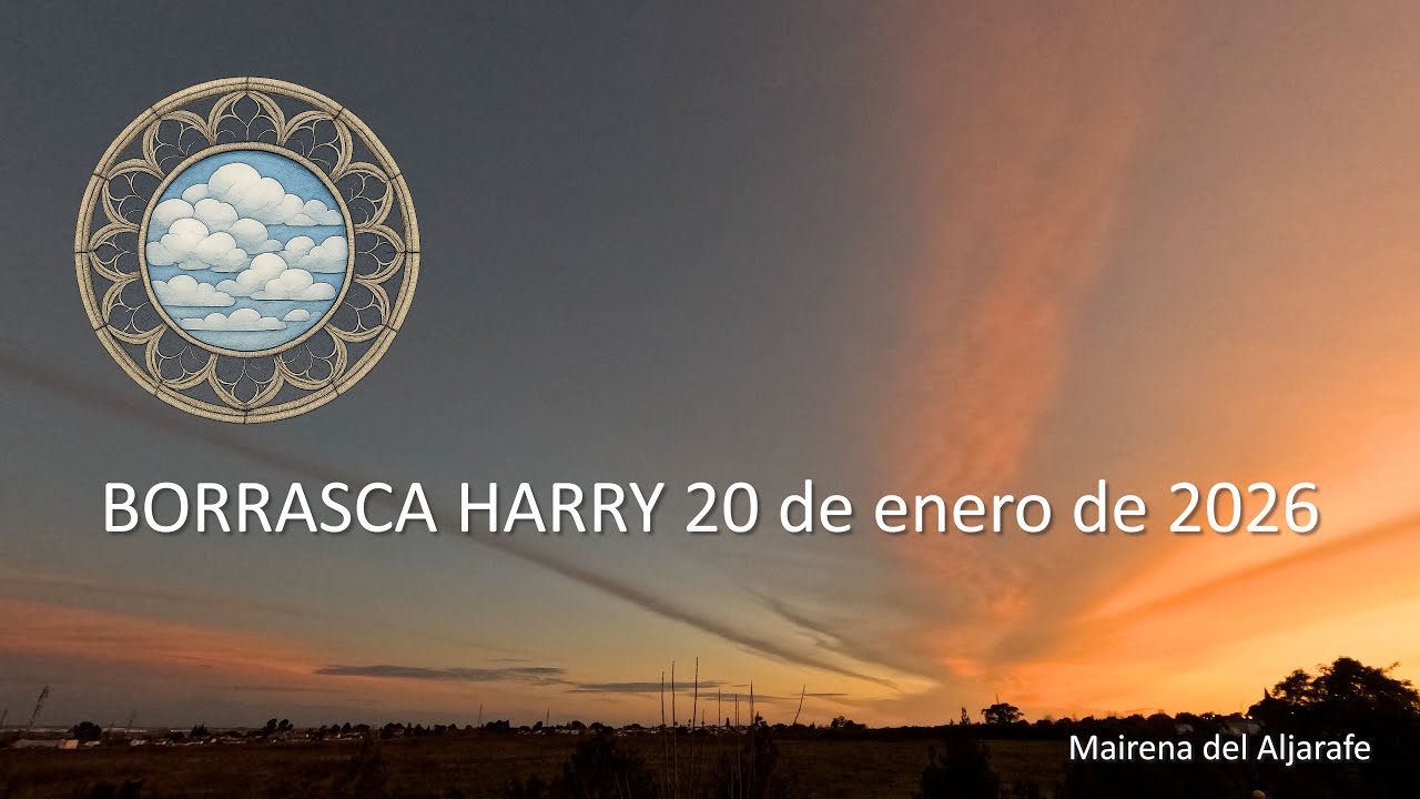 Borrasca Harry 20 de enero de 2026
