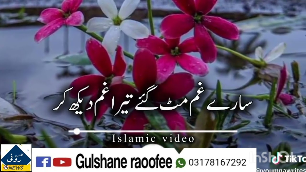 7 ستمبر، 2025