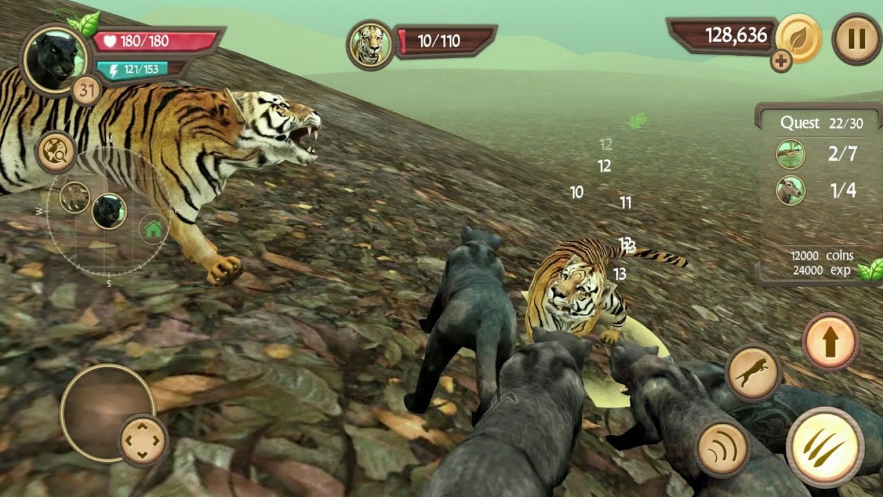 Wild Panther Sim 3D Android Gameplay #12