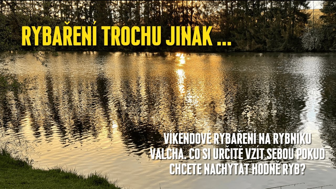 Rybaření na soukromém rybníku Valcha | Co si sebou vzít, pokud chcete bezpečně uspět?
