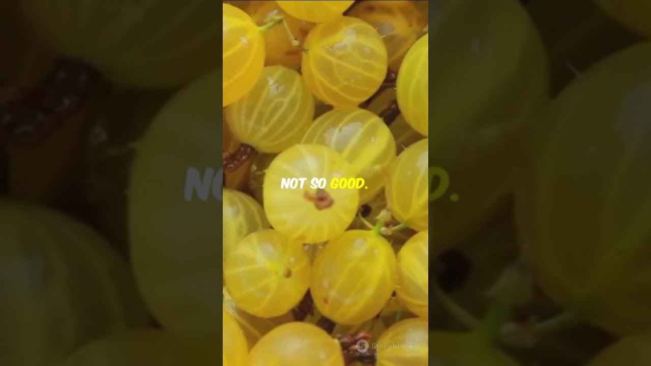 StarNet: Indian Star Gooseberries Get a Tech Upgrade 