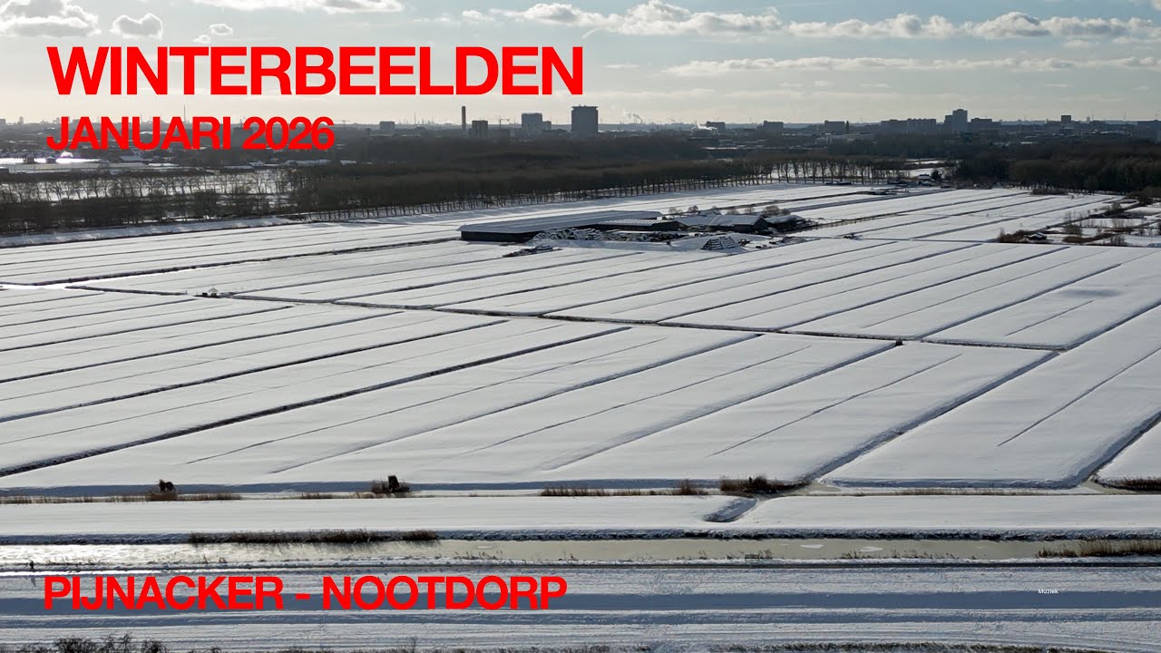 WINTERBEELDEN JANUARI 2026 | SNEEUW IN PIJNACKER - NOOTDORP (4K DRONE BEELDEN)