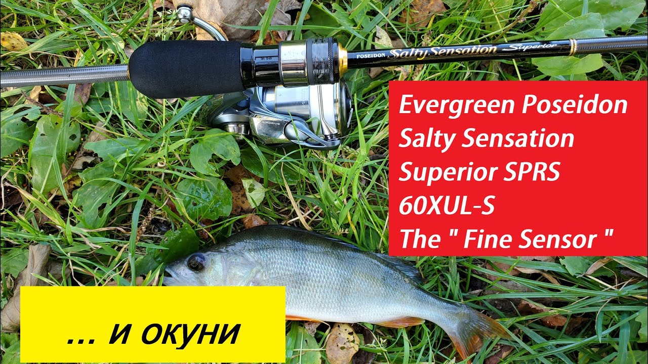 Evergreen Poseidon Salty Sensation Superior SPRS 60XUL-S The 