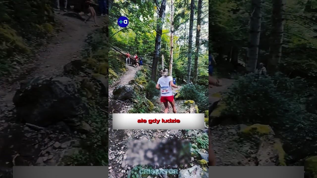 Szok na zawodach 😳 Czy ona właśnie znalazła NIELEGALNY skr&oacute;t?! (@distancesplus‬)