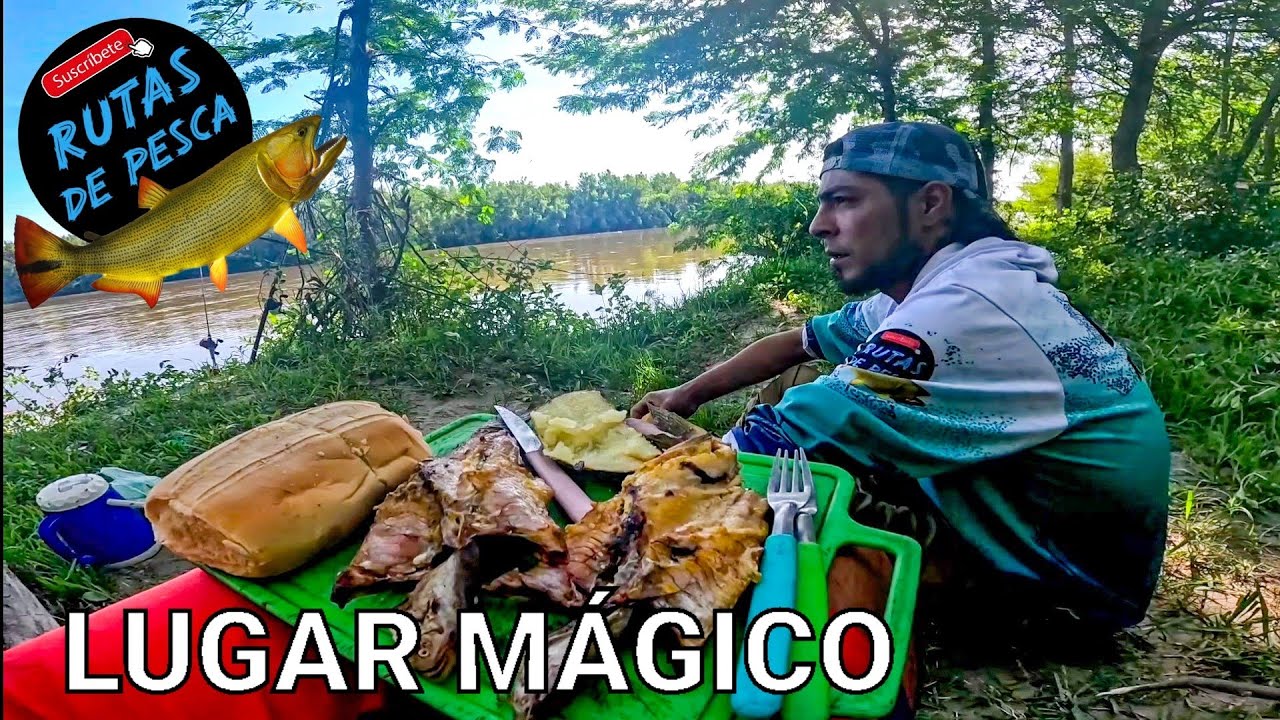 LOS GOMEZ 🎣 PESCA Y COCINA 🐟 Bagres, Bogas, Sabalos. Peces remontando, cardumen subiendo por el r&iacute;o 