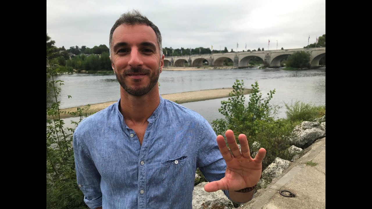 Un briviste au sommet du volley français