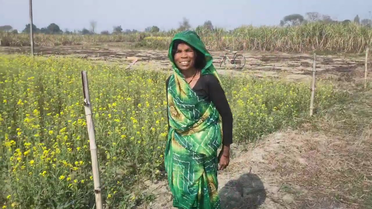 आज बचपन के दिन याद आ गए, दोस्तों के साथ। 😊#like #viral #villagelife #villagevlog 