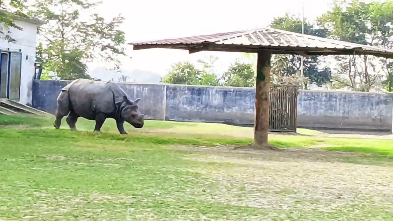 Zoo चिड़ियाघर यहां बहुत जानवर है आज आप लोगों को दिखाता हु ।। तो आप लोग वीडियो को पूरा जरूर देखना ।।