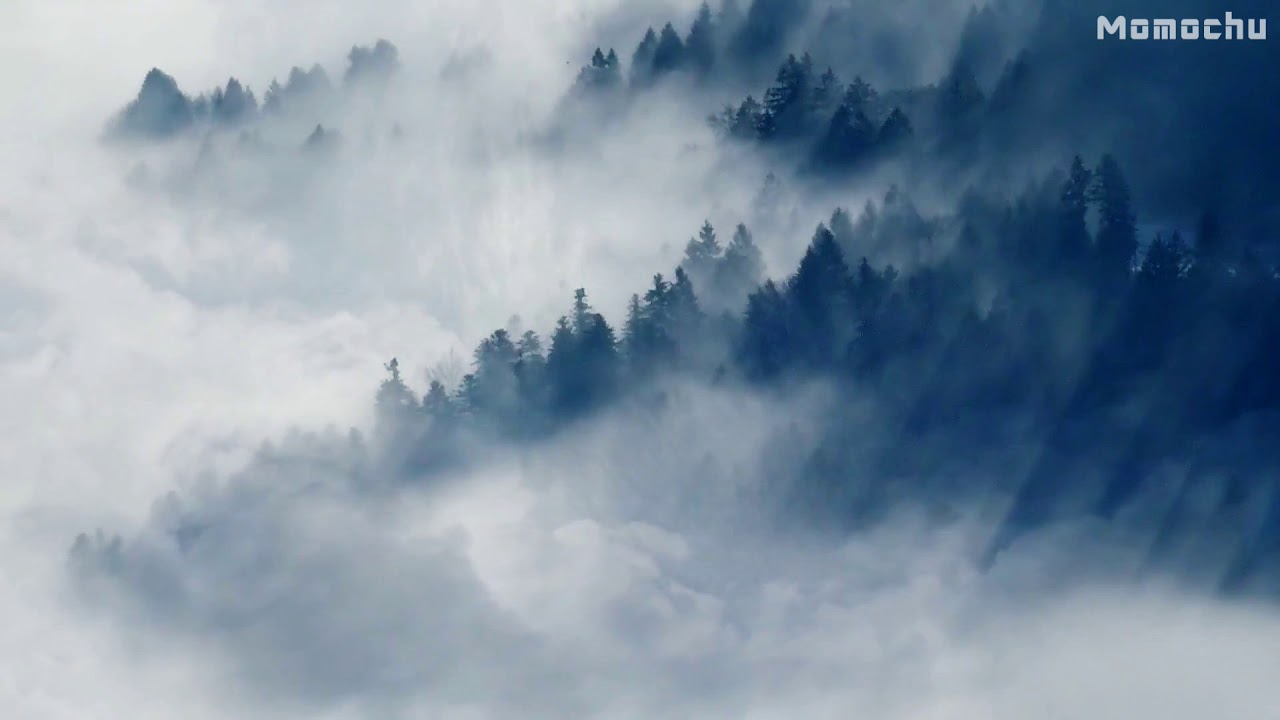【白噪音】