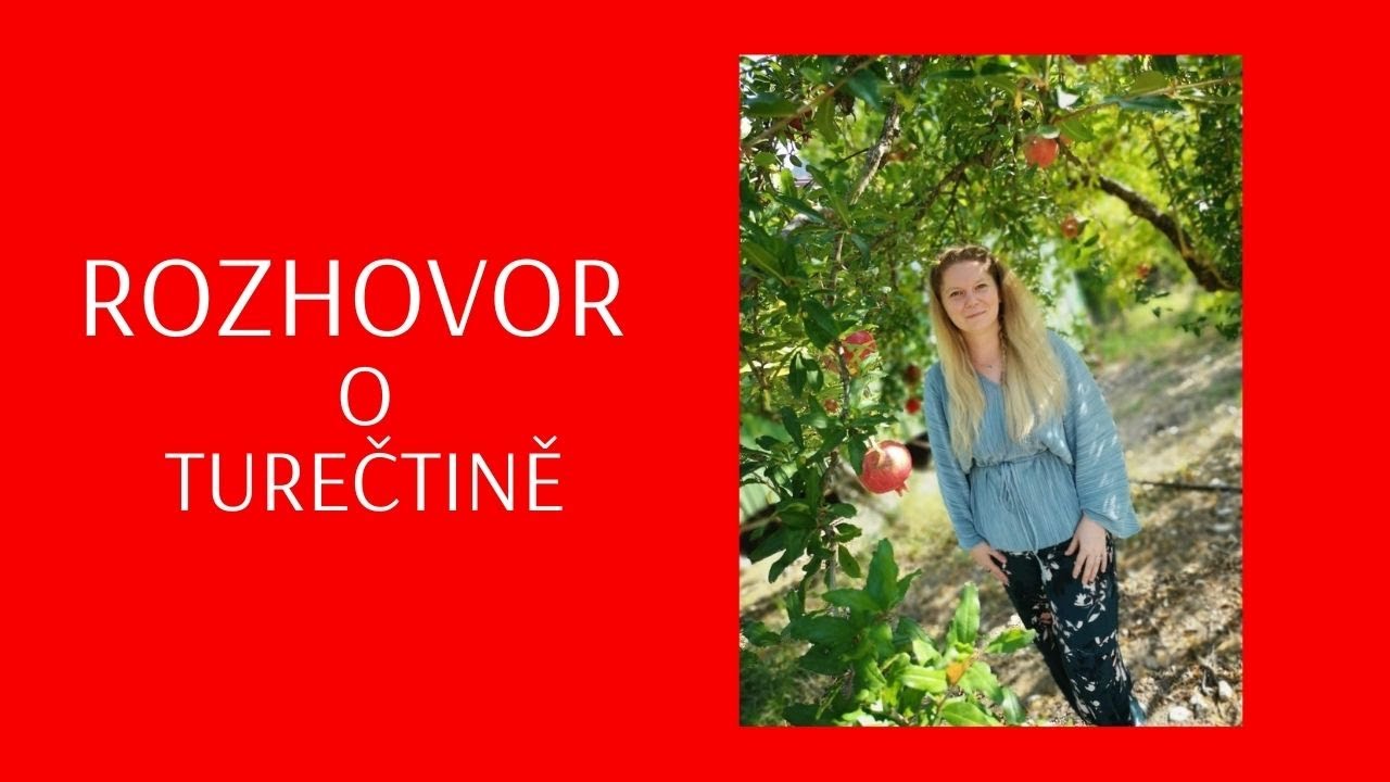 O vokální harmonii, severním Kypru i Atatürkově jazykové reformě