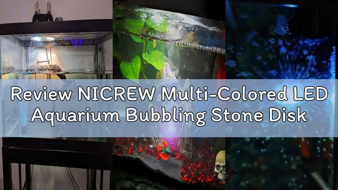 Review NICREW Multi-Colored LED Aquarium Bubbling Stone Disk, Round Fish Tank Bubbler with Auto Colo