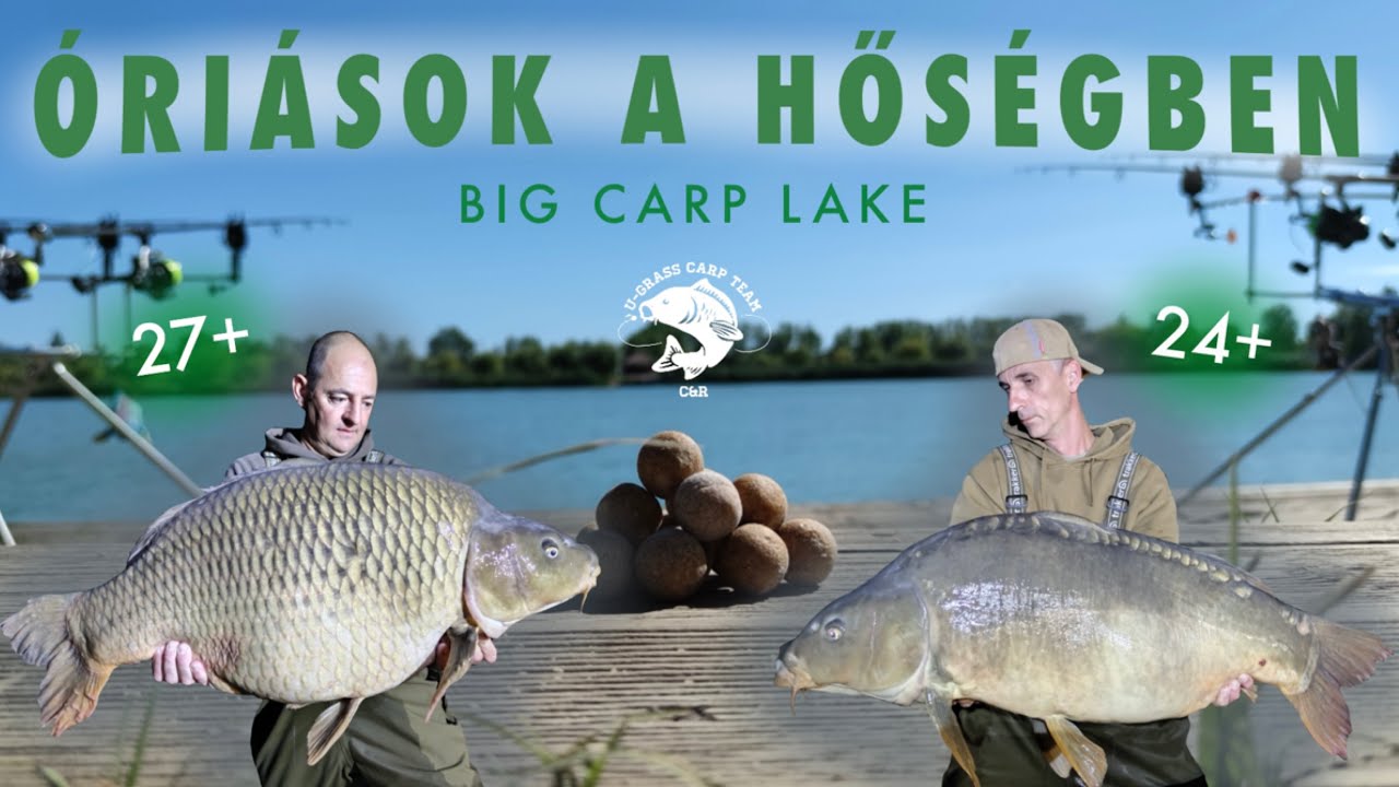 ÓRIÁSOK A HŐSÉGBEN 27 KG FELETT | BIG CARP LAKE | U-GRASS CARP TEAM