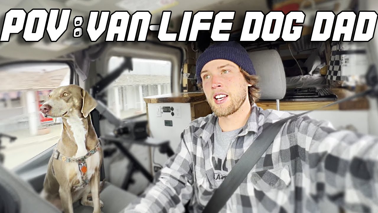 I Put Bleach in My Water - Van Life with Dog, Stealth Camping