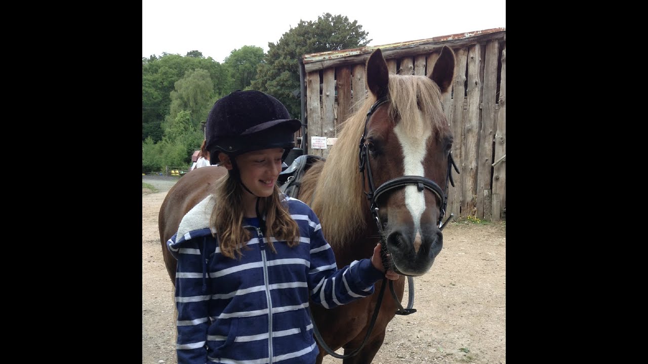 Brand New Pony  (from A Storybook of Children's Songs)