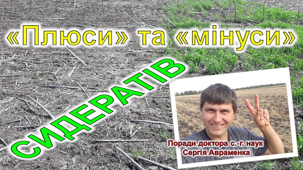 Плюси та мінуси сидератів