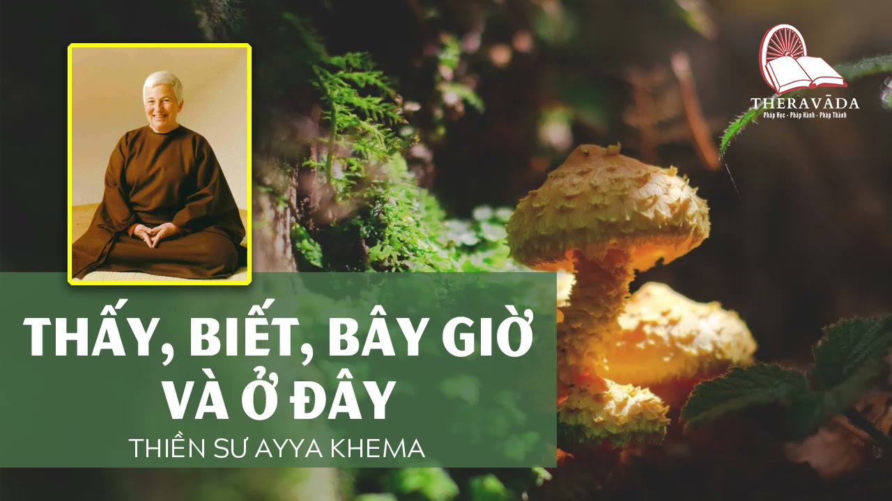THẤY, BIẾT, BÂY GIỜ VÀ Ở ĐÂY - NI SƯ AYYA KHEMA