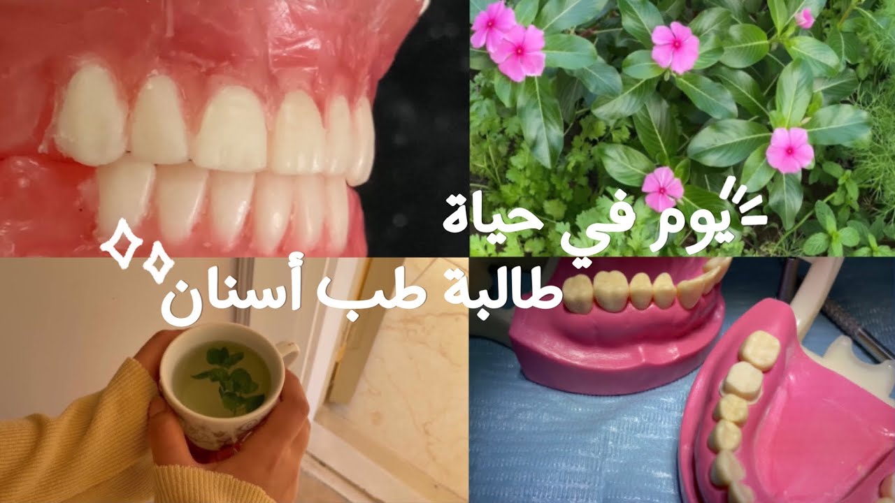 يوم في حياة طالبة طب أسنان | A Day in the life of Dental Student
