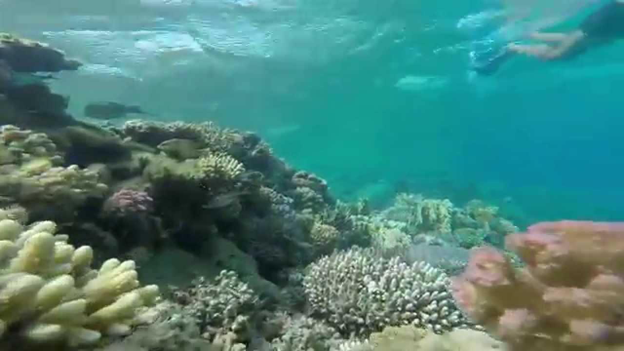Rafa Marsa Alam Abu Dabbab snorkeling Gopro