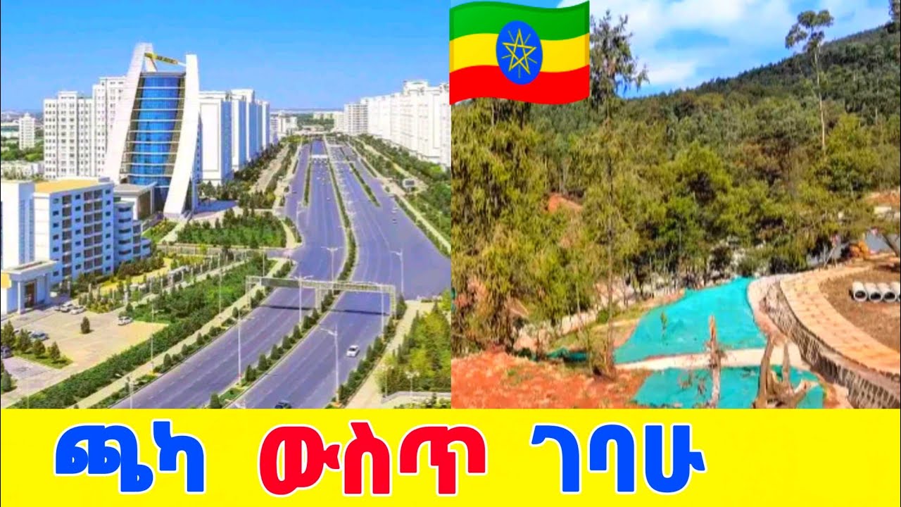 🔴Inside The jungle you will be Surprise  | Entoto forest revealed in 2026 🇪🇹