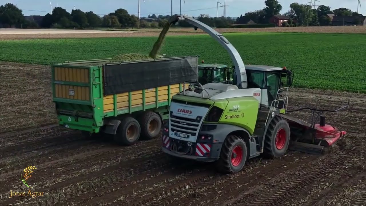 Maishäckseln🔥🌽 - Lohnunternehmen Strompen im Maisfieber 