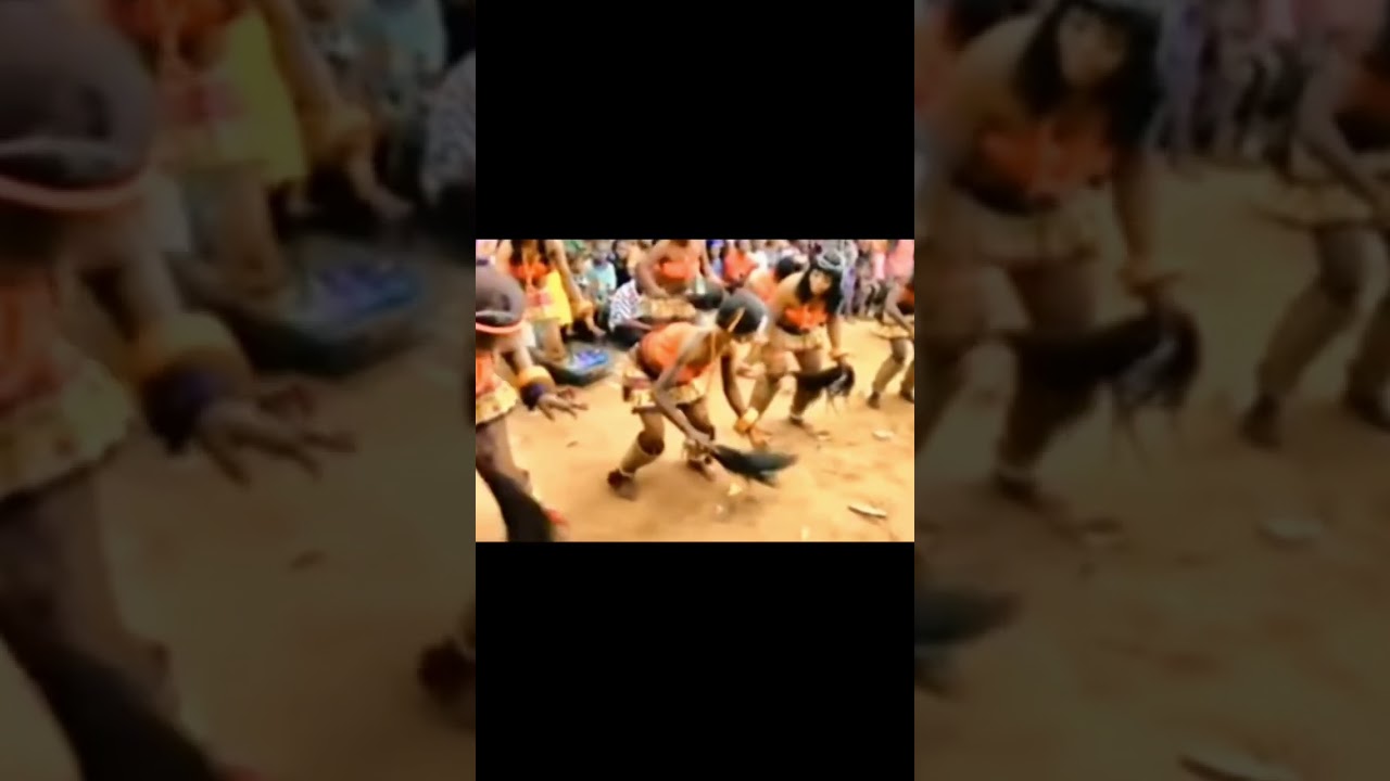 MKPANI FESTIVAL - CULTURAL DANCE DISPLAY