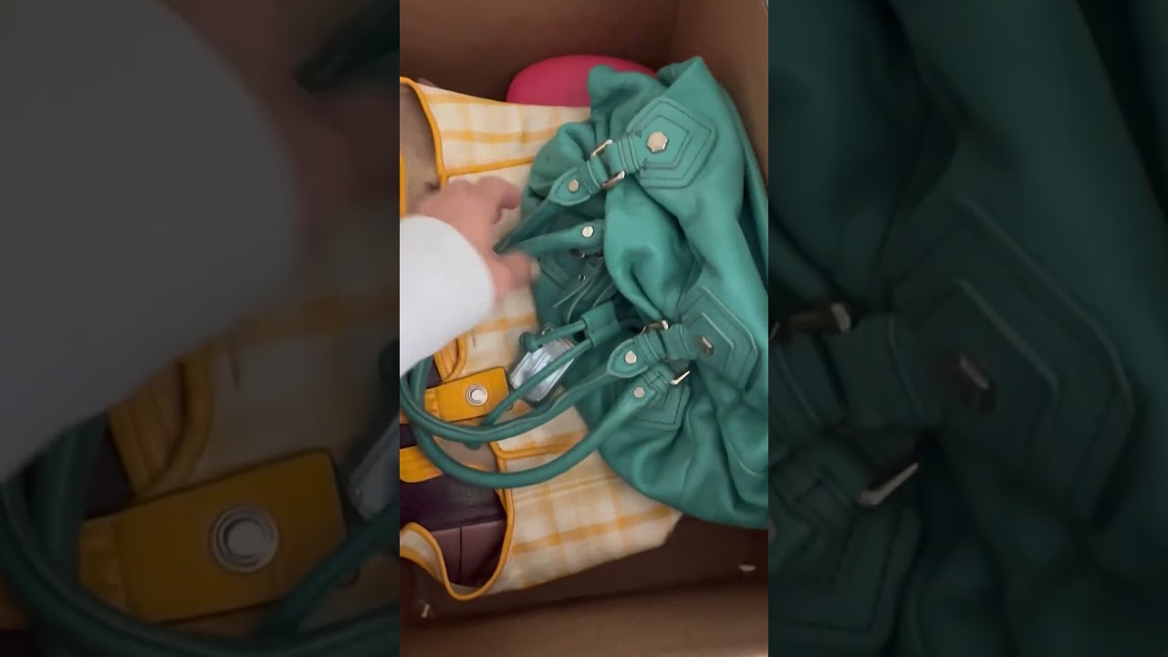 thredUP hand bag ￼ mystery box #thredup #thriftyonadime