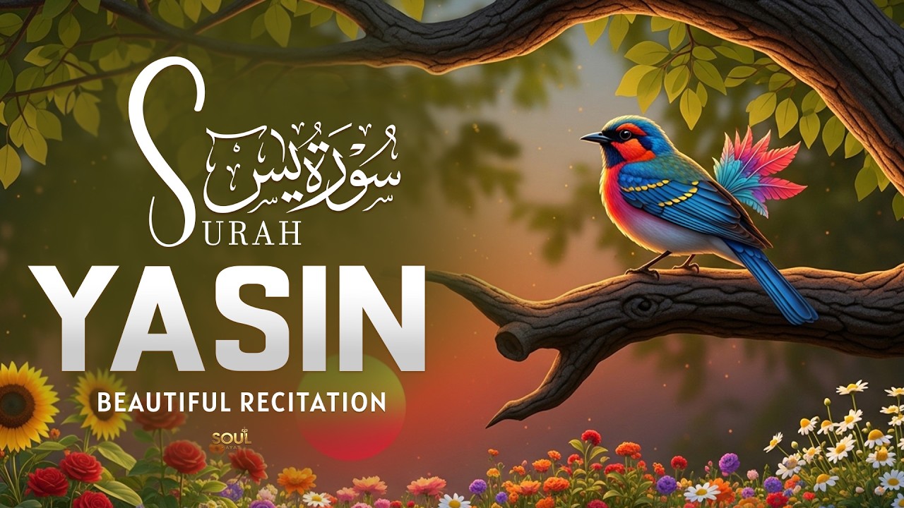 Surah Yasin(سورة يس)Heart Touching Quran Recitation With Gentle Heartfelt Voice