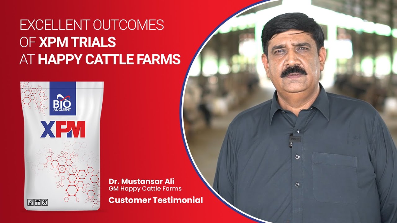 Bioaugment XPM Success Story (English) - Happy Cattle Farms