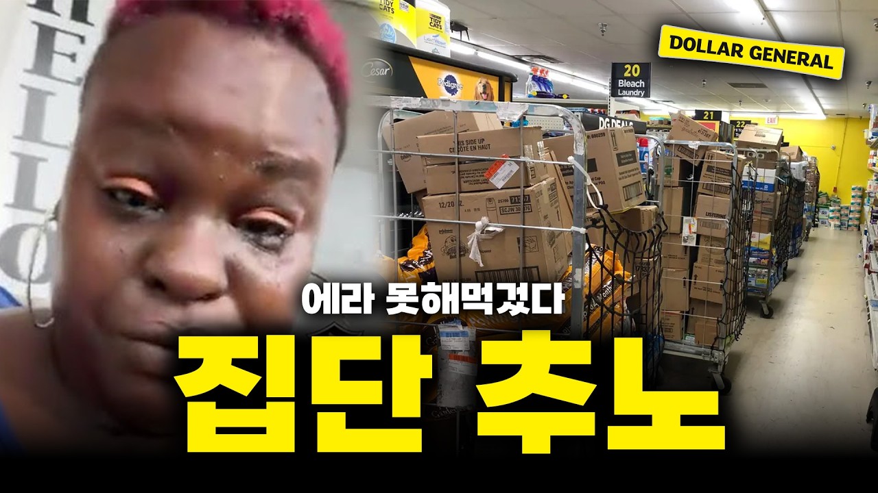 알바의 신이 강림해도 하루를 못 버틴다는 미국의 다이소 (상하차 가뿐히 뛰어넘음)