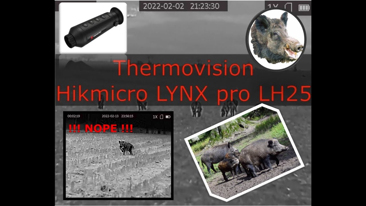 Hikmicro LYNX pro LH25 testing, big wild boars