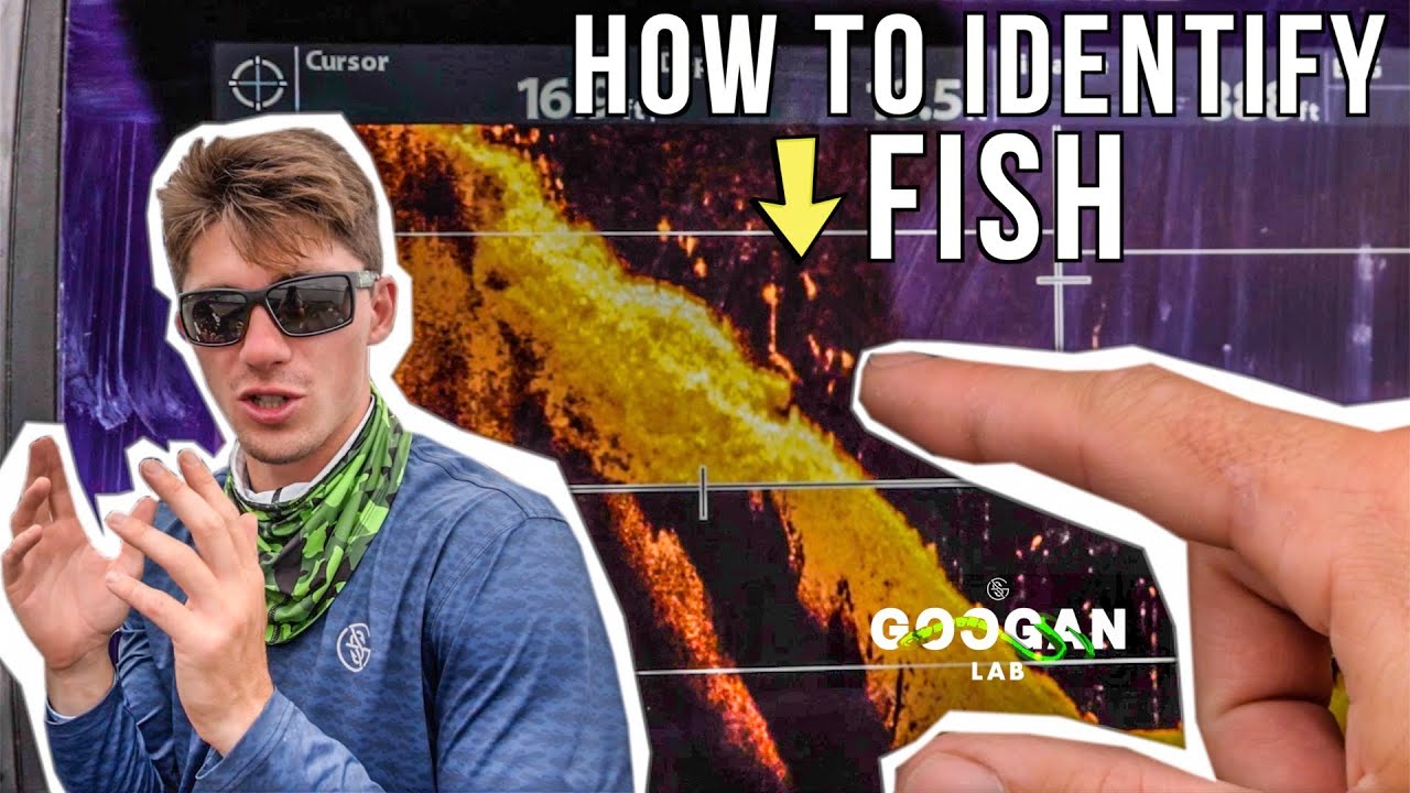 How To IDENTIFY FISH ON A FISHFINDER! ( SONAR BASICS )