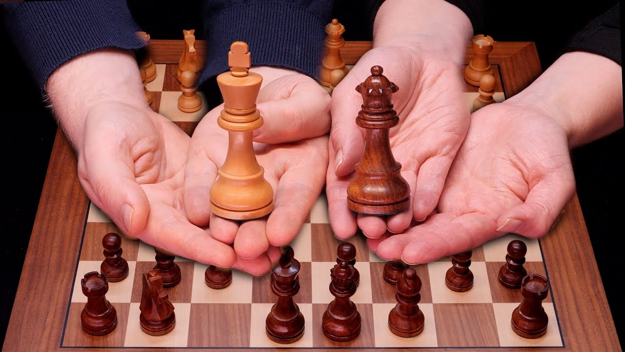 Teaching My Friend The Sicilian Dragon Chess Opening ♔ Relaxing Learning Experience for Sleep ♔ ASMR