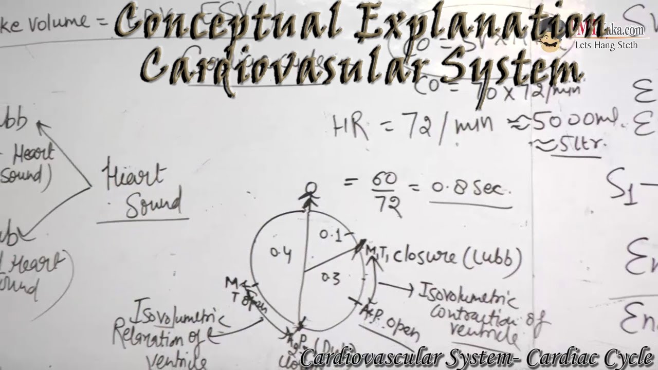 AIIMS | AIPMT - Cardiovascular System - Cardiac Cycle